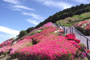 Mt.Furousan multi-purpose park