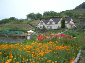 蛙鼻公園