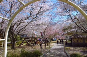 Ohyama park