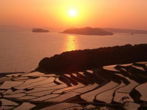 土谷棚田