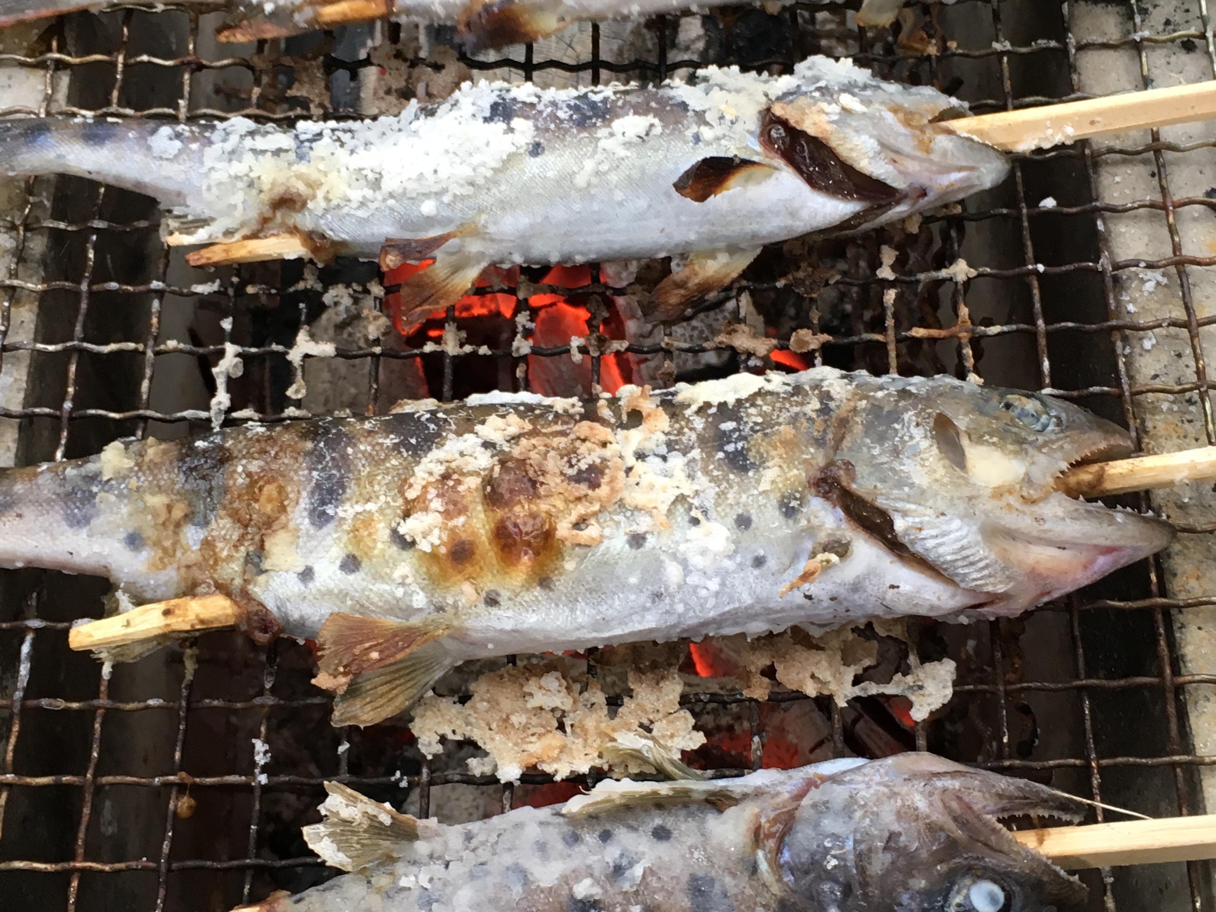 ヤマメの釣り堀 青龍の郷 で 気軽に釣って美味しく食べよう 松浦市の観光情報サイト 松恋